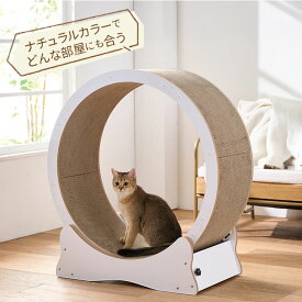 ボンビアルコン 猫用 キャットホイール ホワイト 7kgまで 小型 組み立て簡単 静音 静音設計 ロック付 ロックできる 爪とぎ 爪砥ぎ ダンボール キャットランナー ルームランナー【送料無料】