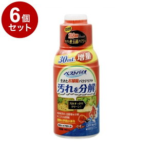 �y6�Z�b�g�z GEX �W�F�b�N�X �x�X�g�o�C�I 120ml+30ml�y���������z