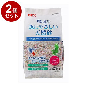 y2Zbgz GEX WFbNX i ɂ₳VR 2.5kg