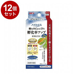 y12Zbgz GEX WFbNX _JC Et鐅 80mLyz