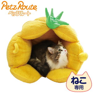 ybc[g Lp ~p xbh jƂ܂ pCibv ybgxbh ybgp xbg NbV 􂦂  ~ 킢    L ybgyz