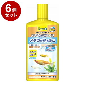 y6Zbgz eg _J̐ 500mlyz