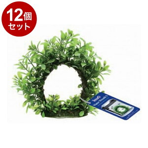 y12Zbgz eg EH[^[[X Syz