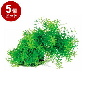 y5Zbgz eg tLVuvg FP-1yz