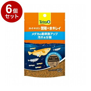 y6Zbgz eg L~ ɐB+LC 20g