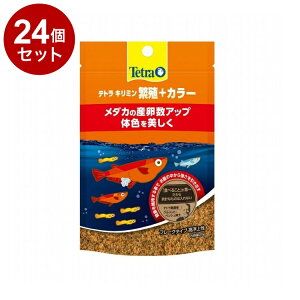 y24Zbgz eg L~ ɐB+J[ 20gyz