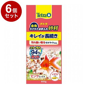 y6Zbgz eg  NNꍻ sN~bNX 800gyz