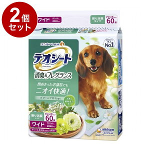 �y2�Z�b�g�z ���j�`���[�� �f�I�V�[�g ���L&�t���O�����X �O���[���A���}�̍��� ���C�h 60���y���������z