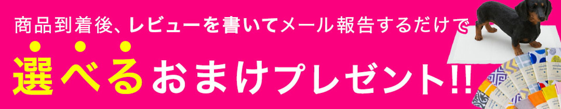 レビューおまけ