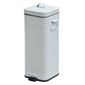 ゴミ箱 Galva ダストボックス スクエア 30L マットホワイト(代引不可)【送料無料】
