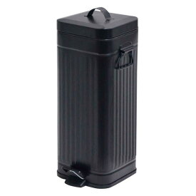 ゴミ箱 Galva ダストボックス スクエア30L マットブラック(代引不可)【送料無料】