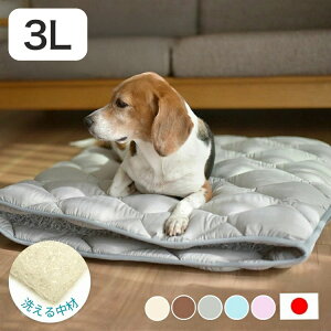 􂦂ybgp~zc GA[AX[g ̍\fގgp 3L 145×110cm ybg}bgX ʋC  􂦂 ې   ybg}bg ybg ~zc d d }bg(