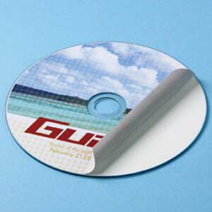 インクジェット透けないCDラベル(内径24mm・マット)LB-CDR004N サンワサプライ(代引不可)【メール便配送】【送料無料】