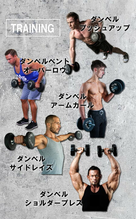楽天市場】【公式販売店】ファイティングロード ダンベルセット ラバー 
