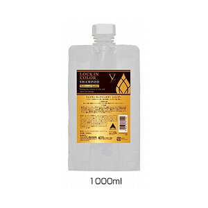 t@Ce(PHITEN) LOCK IN COLOR Vv[1000ml(lւp) HSH91002yz
