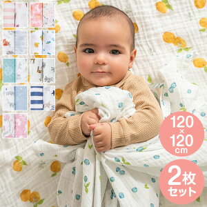 ݃Xh 2  Xh qǂ xr[ X[p[ V ʋC ǂ LbY Ԃ [  킢 Q 鋃 j̎q ̎q oYj xr