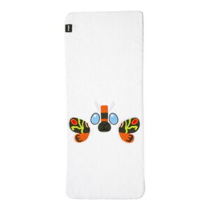 Bb X z z  wbhhC^I ^I 40×100cm TOH1 LN^[ XP[^[ skateryz