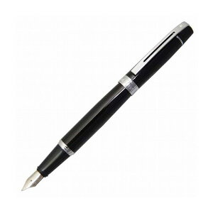 SHEAFFER VF[t@[ VF[t@[300 \bhubN NM y M   v[g 蕨 jiyz