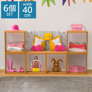 I[vbN X^Cv 6Zbg 40×20×40 20cm ςݏd gݍ킹R [ fBXvC ؖڒ VFt X^bLOVFt I[vVFt I[vbN I I(