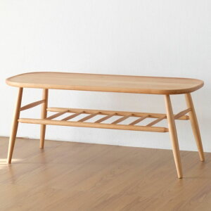 _CjOx` _CjO`FA 100cm i ֎q  CX IV rOe[u e[u [e[u VR(s)yz