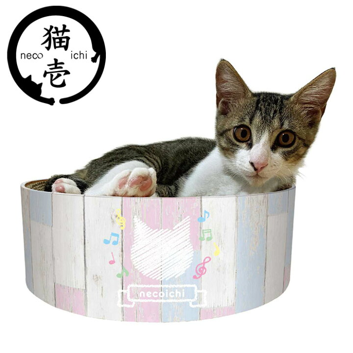 楽天市場】猫壱 バリバリボウル 子猫用 ダンボール 木目 小型 丸型 ボウル 爪とぎボウル 爪とぎ 爪研ぎ 爪とぎ防止 猫用 猫用品 ねこ ネコ 据え置き ペット用 お手入れ【送料無料】 : リコメン堂インテリア館 楽天市場】猫壱 バリバリボウル 子猫用 ダンボール 木目 小型 丸型 ボウル 爪とぎボウル 爪とぎ 爪研ぎ 爪とぎ防止 猫用 猫用品 ねこ ネコ 据え置き ペット用 お手入れ【送料無料】 : リコメン堂インテリア館