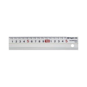 SK �A���~�X�P�[�� AS100(������s��)