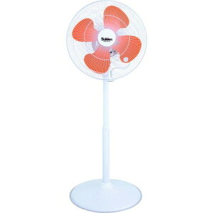 XCf H 1{X^h^Cv t~St@ nl45cm 100V SF45VF1VP2(s)yz