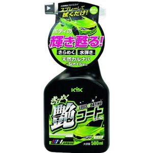 KYK LNR[gXv[ 500ml 22089(s)