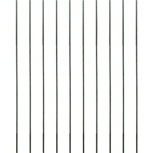 �v���N�\�� �����n�ז�10�{(�؍H�E���H�p) 28100(����s��)