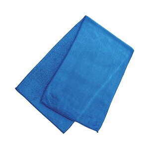 TRUSCO gXR }CNt@Co[NX 300X1000 TPMBBGBL(s)