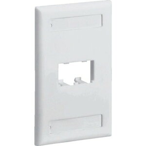 パンドウイット フェースプレート 2ポート用 オフホワイト CFPL2IWY(代引不可)