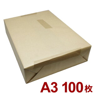 �R�s�[�� �R�s�[�p�� LIMEX�V�[�g ���\�t�gS 300�� A3 100�� �ϐ� �ϋv ���j���[ ���j���[�\ �h�Ѓ}�b�v ���O�|�X�^�[ �G�R(����s��)�y���������z