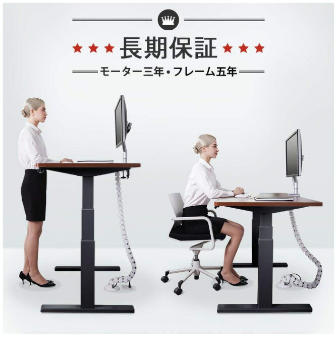 楽天市場】昇降デスク 脚 FLEXISPOT 電動昇降脚 シルバー 天板別売り  