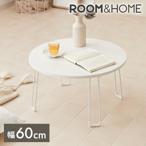 yroomnhome×RzZ^[e[u ی^  60cm ܂肽  ؍CeA ω׏d 20kg [e[uy菤iz킢 Vv CeA _(s)y