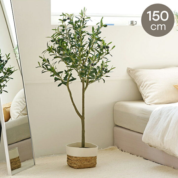 楽天市場】roommhome オリーブの木 150cm フェイクグリーン 人工観葉 