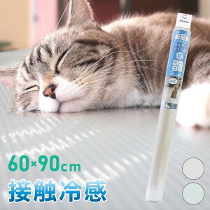 ⊴ Ђ N[}bg ybg 􂦂 ڐG⊴ R hL@\t ⊴}bg 60cm×90cm قQmaxl 0.98 z O }bg Q (s)yz