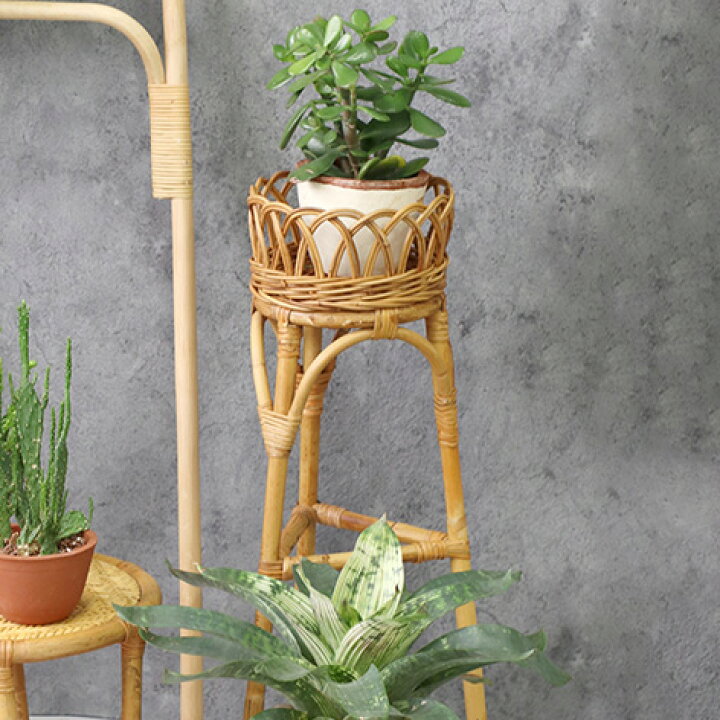 楽天市場】ラタン 天然籐 フラワースタンド Lサイズ 花台 プランター台 