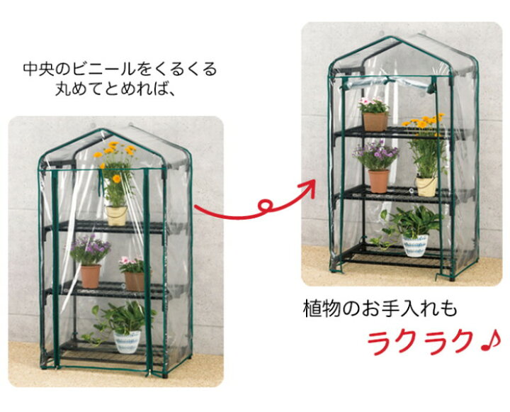 楽天市場】ビニール温室棚 3段 植物を守る 組み立て簡単 工具不要 ビニールハウス フラワーラック OST2-03BK : リコメン堂インテリア館