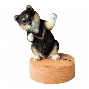 g X}zX^h Vo QY-218GBK Vo aCeAyz