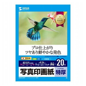 �T�����T�v���C �C���N�W�F�b�g�ʐ^��掆�E���� JP-EP2NA4N(����s��)�y���[���֔z���z�y���������z