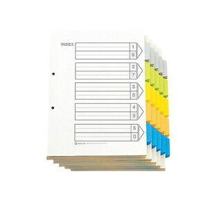 �L���O�W�� �J���[�C���f�b�N�XA4S 100�g 907-100(����s��)�y���������z