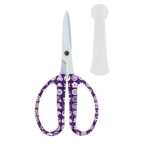 pY ߐ \͂ a Ɩ 54300033(s)y[֔zzyz