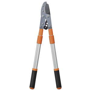 Lk G zr[ CeA G Gݕiyz