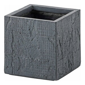 �O���[���x�[�X ��25×���s25×����25.5 �_���}�O�l�V�E�� 6���p(����s��)�y���������z