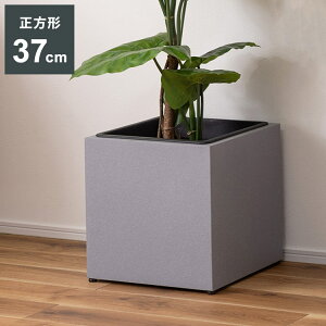 v^[ ` 9 v^[  _ C_XgA Vv O[ A ϗtA AWX^[t CeA(s)yz