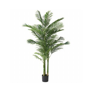 AJV tFCNO[  lHϗt ϗtA CeA  [t Vv  A ȒP i Pi̔ JtF V ̓(s)yz