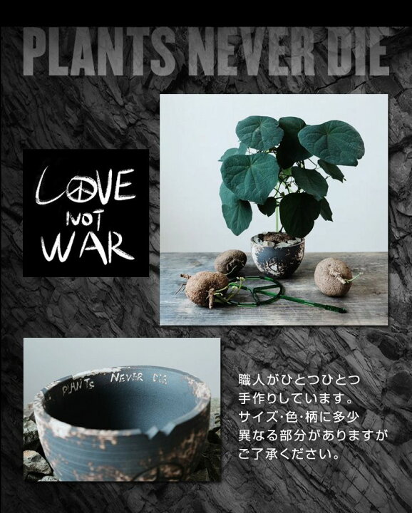 楽天市場 Plants Never Die 正規販売店 反戦鉢 W14 2cm H10 5cm 鉢植え おしゃれ 骨 イラスト ブラック 径14 2 高さ10 5 陶器 ガーデニング 屋外 屋内 プランター 植木鉢 観葉植物 インテリア 雑貨 鉢 送料無料 リコメン堂インテリア館