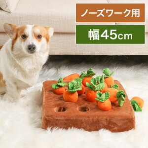 にんじん 犬用品の人気商品 通販 価格比較 価格 Com