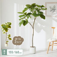 人工観葉植物 ウンベラータ フェイクグリーン 大型 155cm 160cm フィカス 植物 おしゃれ ナチュラル シン…