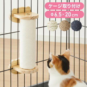 ܂Ƃ P[Wt 20cm L |[  VR 킢 ȃXy[X E RpNg t ȒP  Lp ߂Ƃ P[Wp  ybg P[Wp XgX Lpiyz